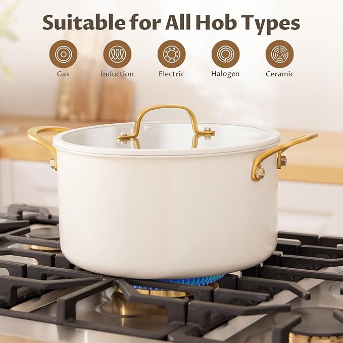 BEZIA 8 Quart Stainless Steel Stock Pot, Casserole
