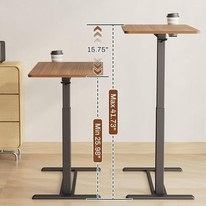FLEXISPOT Mobile Standing Desk
