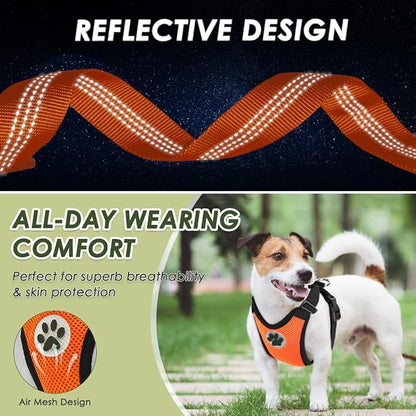 Lukovee Dog Car Harness Seat Belt, Adjustable Mesh Breathable Vest with Elastic Bungee Tether, Soft Padded 2-in-1 Safety Car Harness Seatbelt for Small Medium Large Dogs (Orange,XXS)