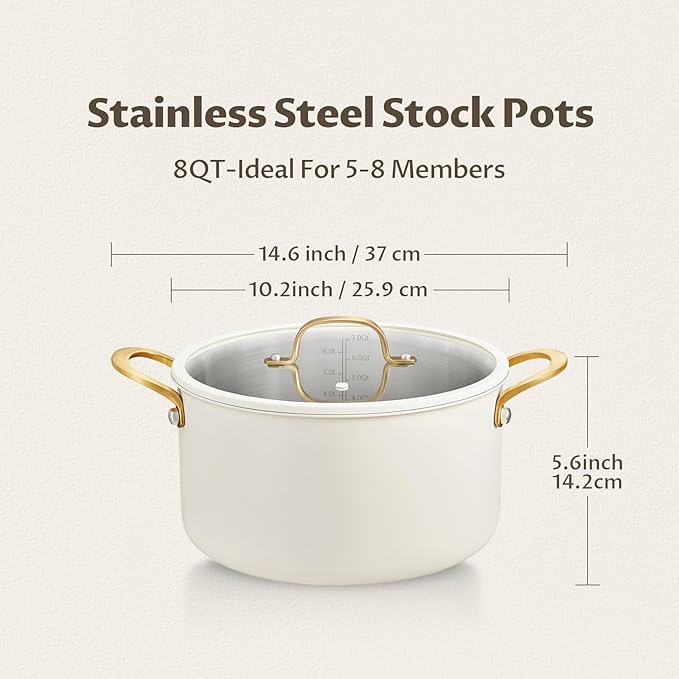 BEZIA 8 Quart Stainless Steel Stock Pot, Casserole