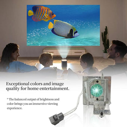 SORNEICDR Replacement Projector Lamp Bulb NP36LP BL-FP190E/FP190D MC.JH111.001