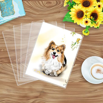 10PCS 9" x 12" Rigid Print Protectors Clear Plastic Sheet Protectors, Heavy Duty Top Loading Document Holder, Menu Cover, Photo Poster Sleeves Hard Plastic Sleeves for Paper Art Prints