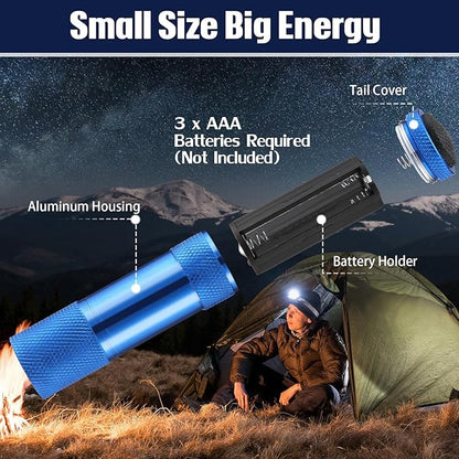 VIHOSE 20 Pcs Mini Flashlights Bulk, Bright Aluminum Handheld Flash Light with Lanyard Small LED Flashlights for Night Reading Emergency Hurricane Camping Hiking, Batteries Not Included(Blue)