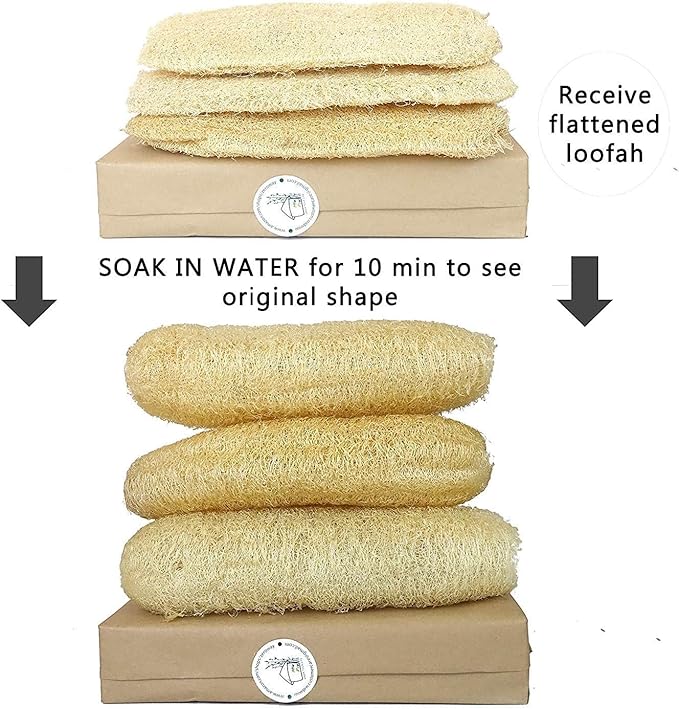 Natural Whole Loofah Sponge