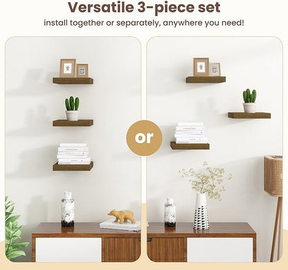 Fun Memories Floating Shelves for Wall