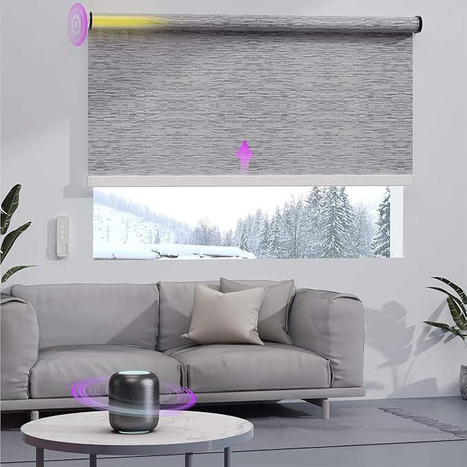 Astomi Motorized Roller Shades for Windows, Smart Blinds, Voice Control
