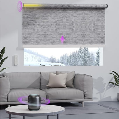 Astomi Motorized Roller Shades for Windows, Smart Blinds, Voice Control