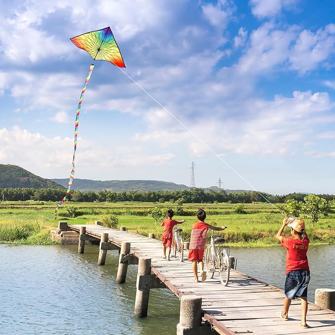 HONBO Large Delta Kite for Kids & Adults,Extremely Easy to Fly Kite for Beach Trip,String Line Included,with Colorful Tail,Perfect for Beginners