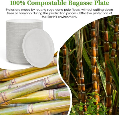 ECOLipak 6 Inch Disposable Compostable Small Paper Plates, 200 Pack Recycled Sugarcane Bagasse Biodegradable Heavy Duty Mini Dinner Appetizer Cake Dessert Plates for Party(White)