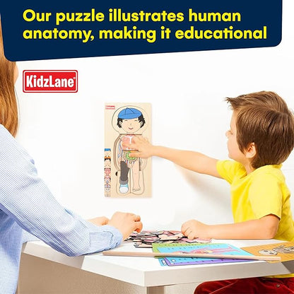 Kidzlane Wooden My Body Puzzle for Toddler - 5-Layer Human Anatomy Puzzle - Real Wood - Multicolor - Educational Toy for Kids - BPA Free - Explore Skeletal, Respiratory, Digestive System