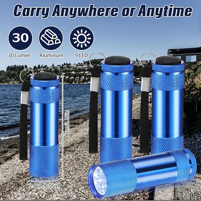 VIHOSE 20 Pcs Mini Flashlights Bulk, Bright Aluminum Handheld Flash Light with Lanyard Small LED Flashlights for Night Reading Emergency Hurricane Camping Hiking, Batteries Not Included(Blue)