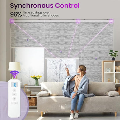Astomi Motorized Roller Shades for Windows, Smart Blinds, Voice Control