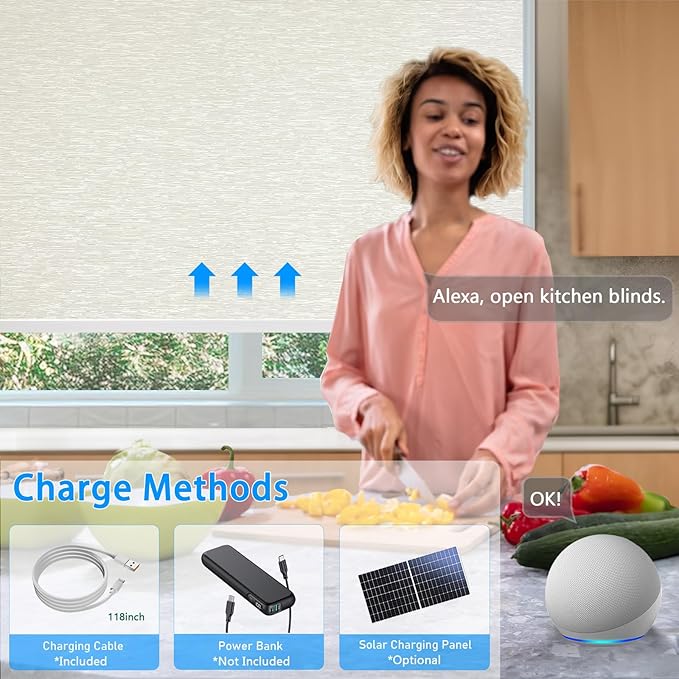 COOLWINDS Motorized Blinds