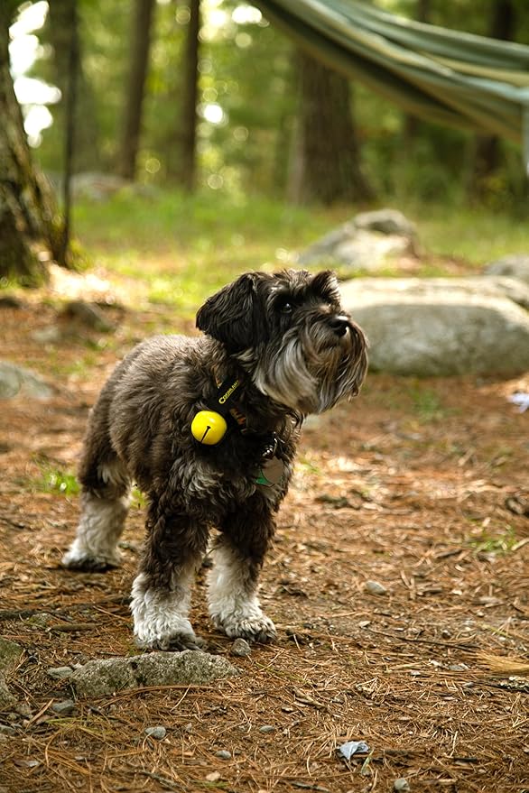 Coghlan's Magnetic Bear Bell with Silencer, Yellow ??Outdoor Safety for Hiking, Camping, and Wildlife Protection ??Noise Alert Deterrent for Bears and Other Wildlife