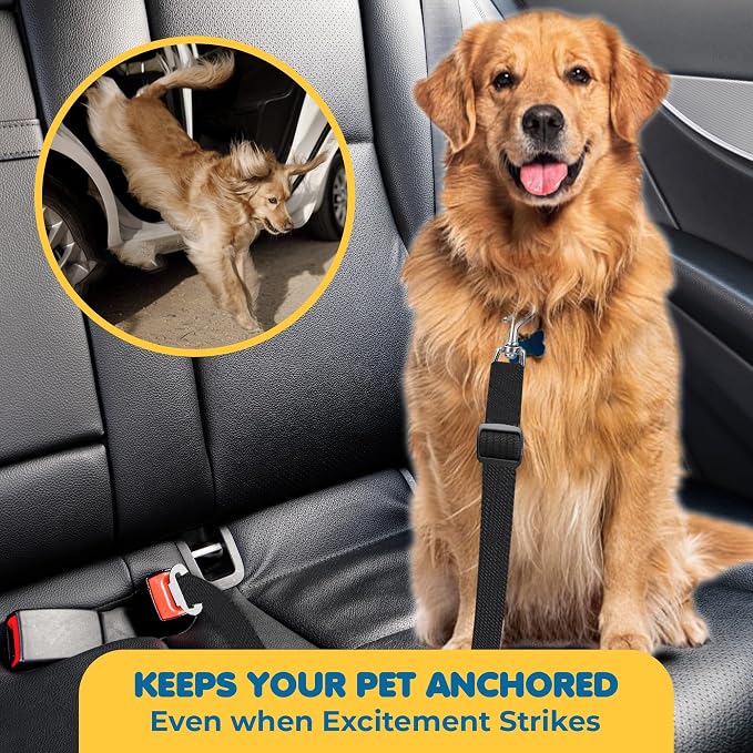 SunGrow Dog Seatbelt & Leash, Universal Vehicle Seatbelt Harness for Car Headrest, Pet Travel Essential, Adjustable Lead, Black Nylon, 19”-31” & 14-19” x 17-30”, 2 Pcs. Per Pack