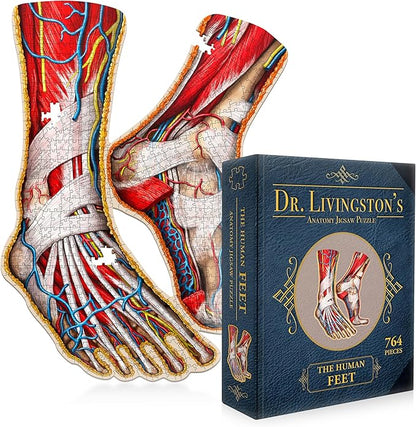 Dr. Livingston's Human Feet Anatomy Puzzle - A Medically Accurate Jigsaw Puzzle of The Feet - Educational Toy of The Human Body - Unique Shaped Puzzle for Doctors, Nurses and Medical Students