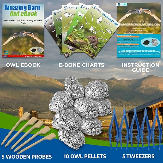 Amazing Owl Pellet Dissection Kit – 10 -Piece Owl Pellet Set for Science Lab Projects – w/Tweezers and Wooden Probes – Ideal for Fun Class Projects - Intended for Ages 15 & Older