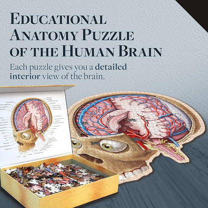 Dr. Livingston's Human Brain Anatomy Puzzle - A Medically Accurate Jigsaw Puzzle of The Brain Section - Educational Organ Toy for Teens & Adults - Unique Science Gift for Doctors, Nurses & Teachers